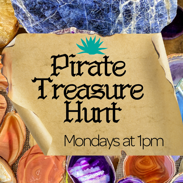 Pirate Treasure Hunt | Every Monday