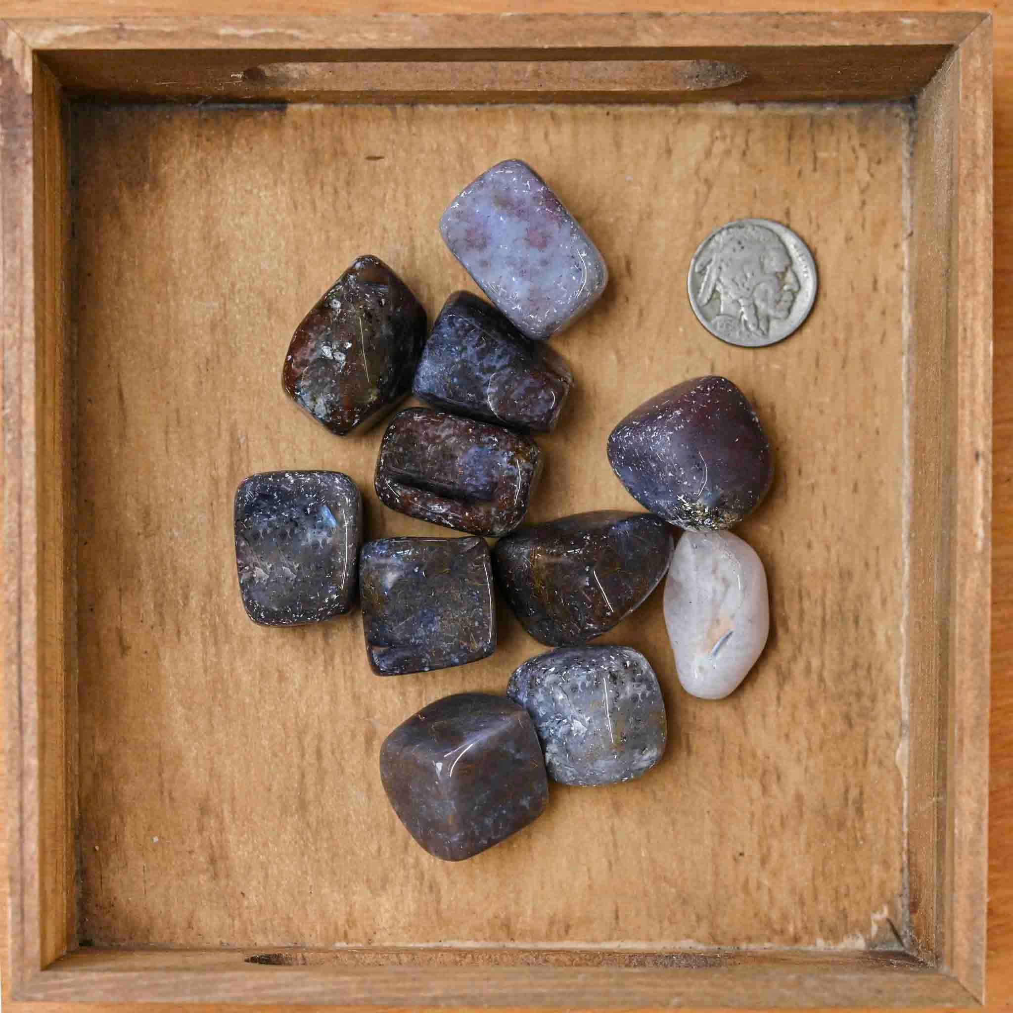 Tumbled Red Moss Agate (1 Stone) – The Groovy Plants Ranch LLC