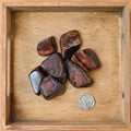 Tumbled Red Tiger's Eye