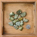 Tumbled Rhyolite (1 Stone)