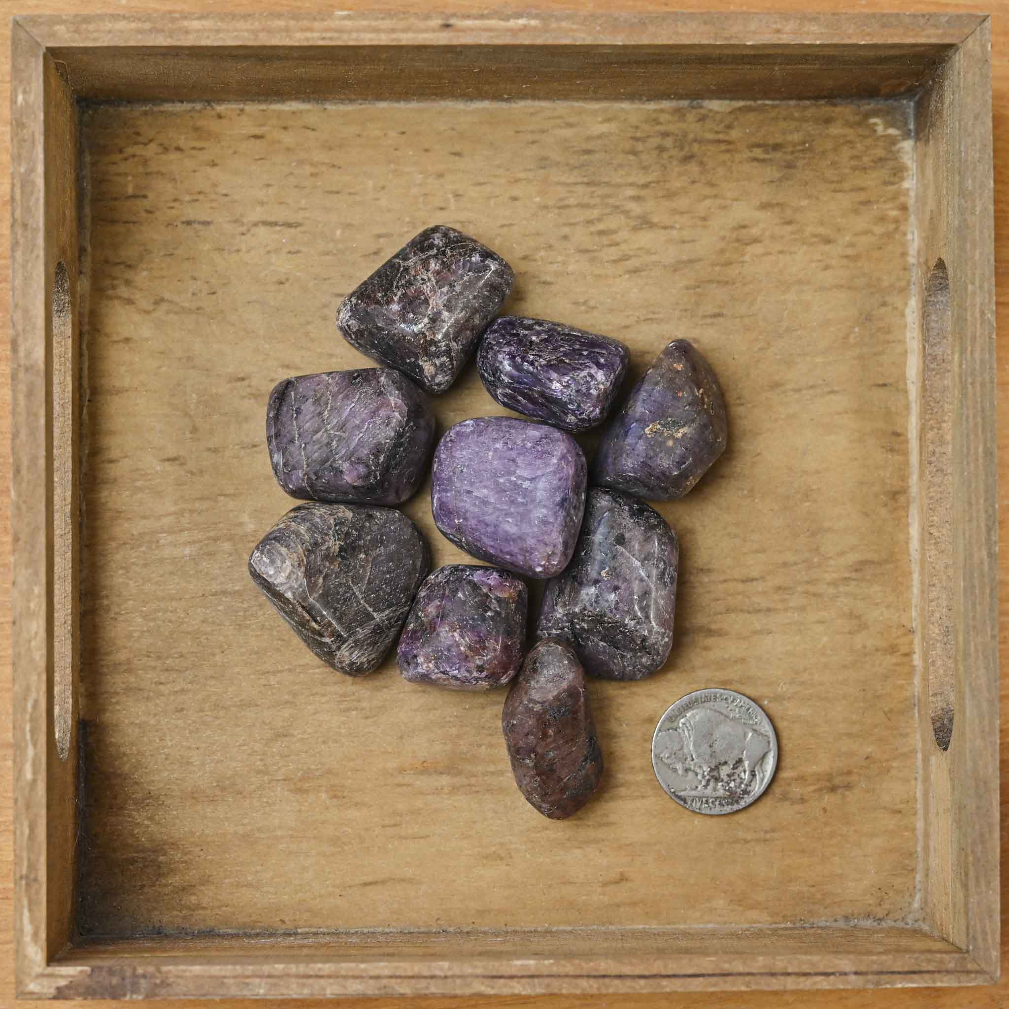 Tumbled Ruby (1 Stone) – The Groovy Plants Ranch LLC
