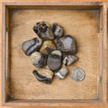 Tumbled Septarian (1 Stone)