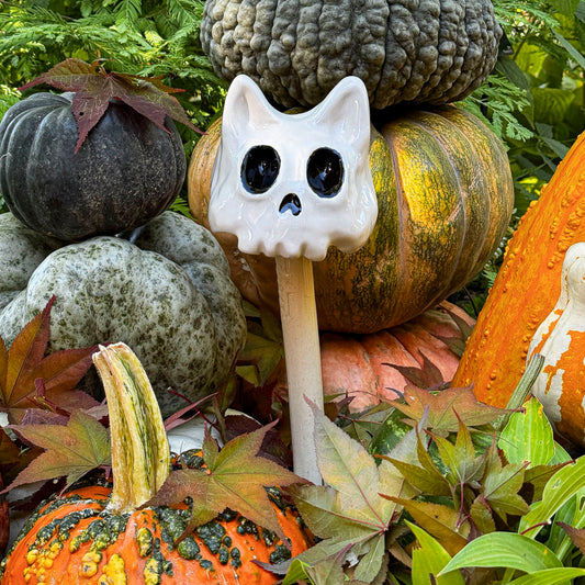 Groovy Skulleez - Cat Skull | Preorder for at The Ranch Pickup Only!