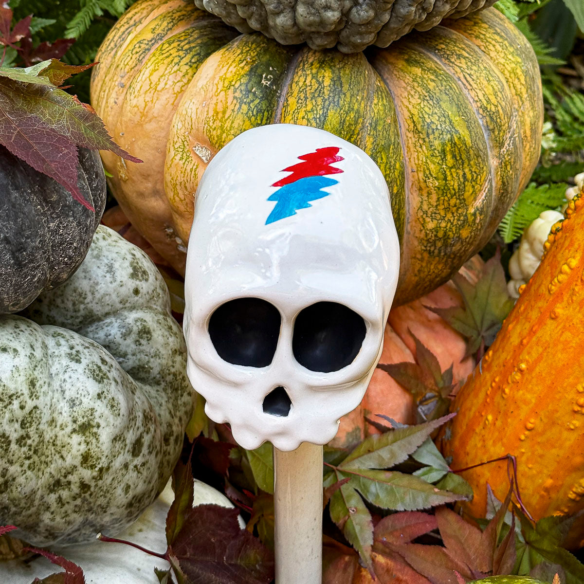 Groovy Skulleez - Deadhead | Preorder for at The Ranch Pickup Only!