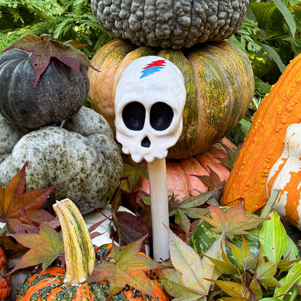 Groovy Skulleez - Deadhead