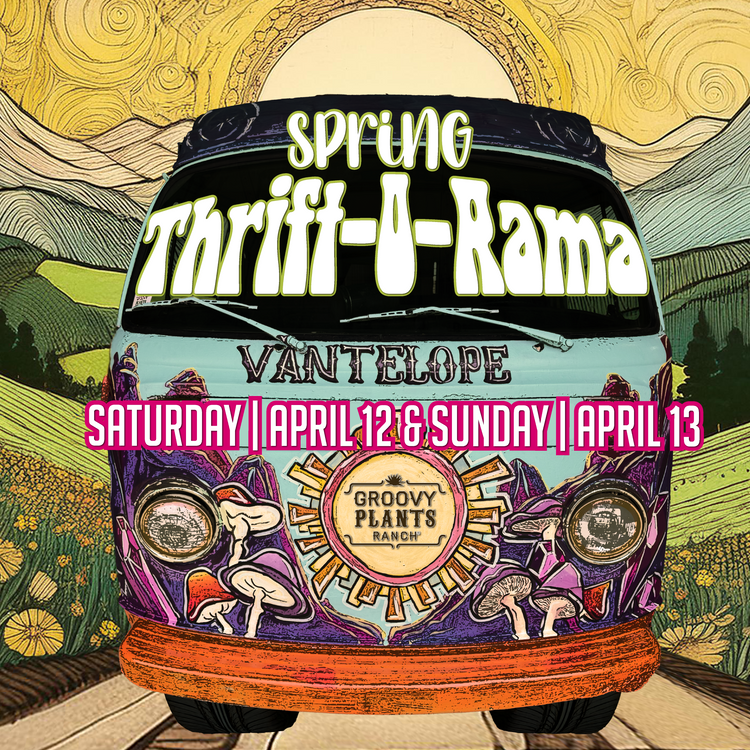 What's Happening at The Ranch? – The Groovy Plants Ranch LLC