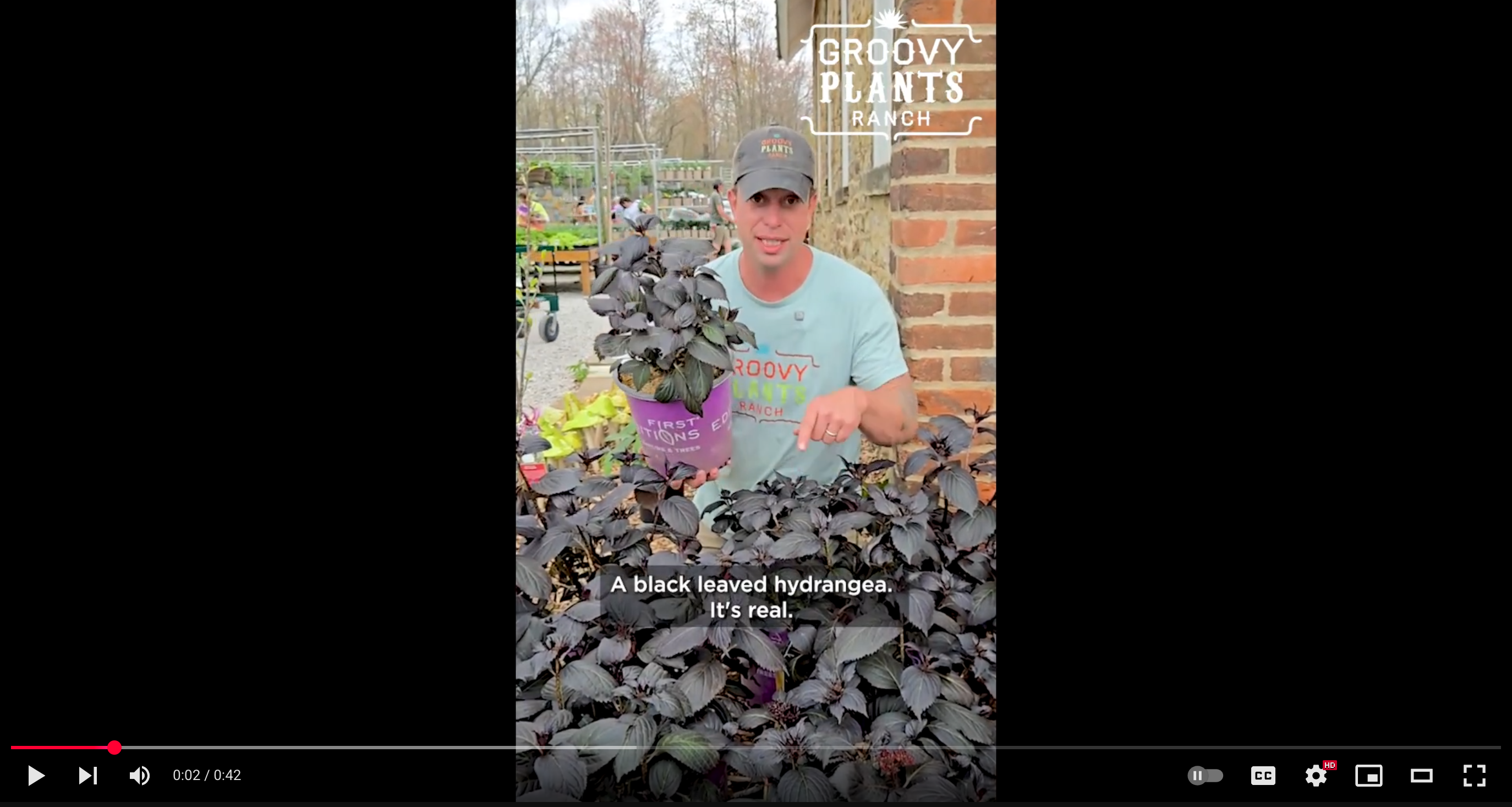 Load video: 