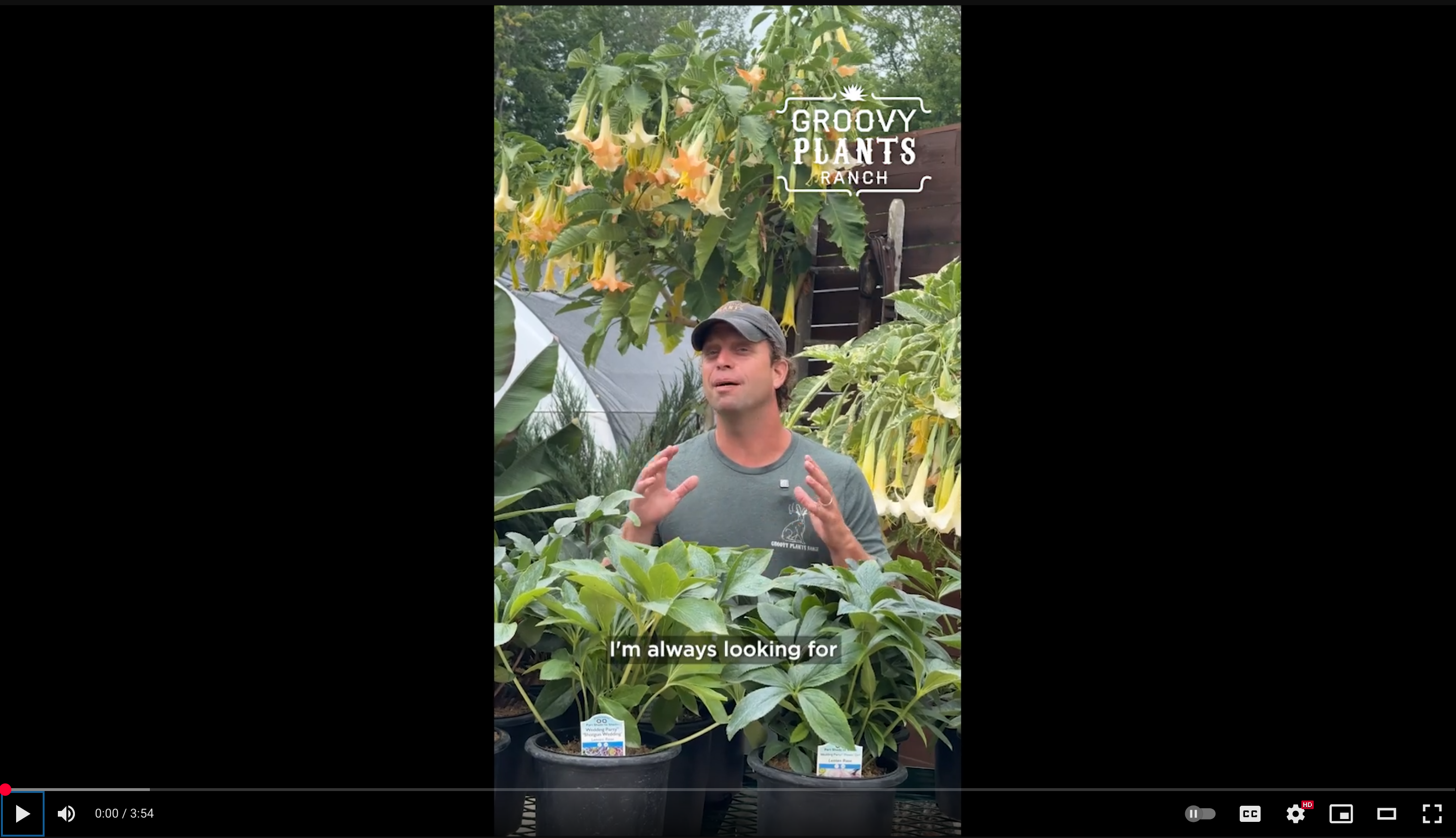 Load video: 