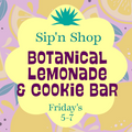 Sip'N Shop | Lemonade & Cookie Bar | July 31st 5-7