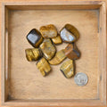 Tumbled Tiger Eye (1 Stone)