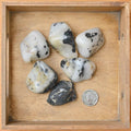 Tumbled Tourmalated Quartz (1 Stone)