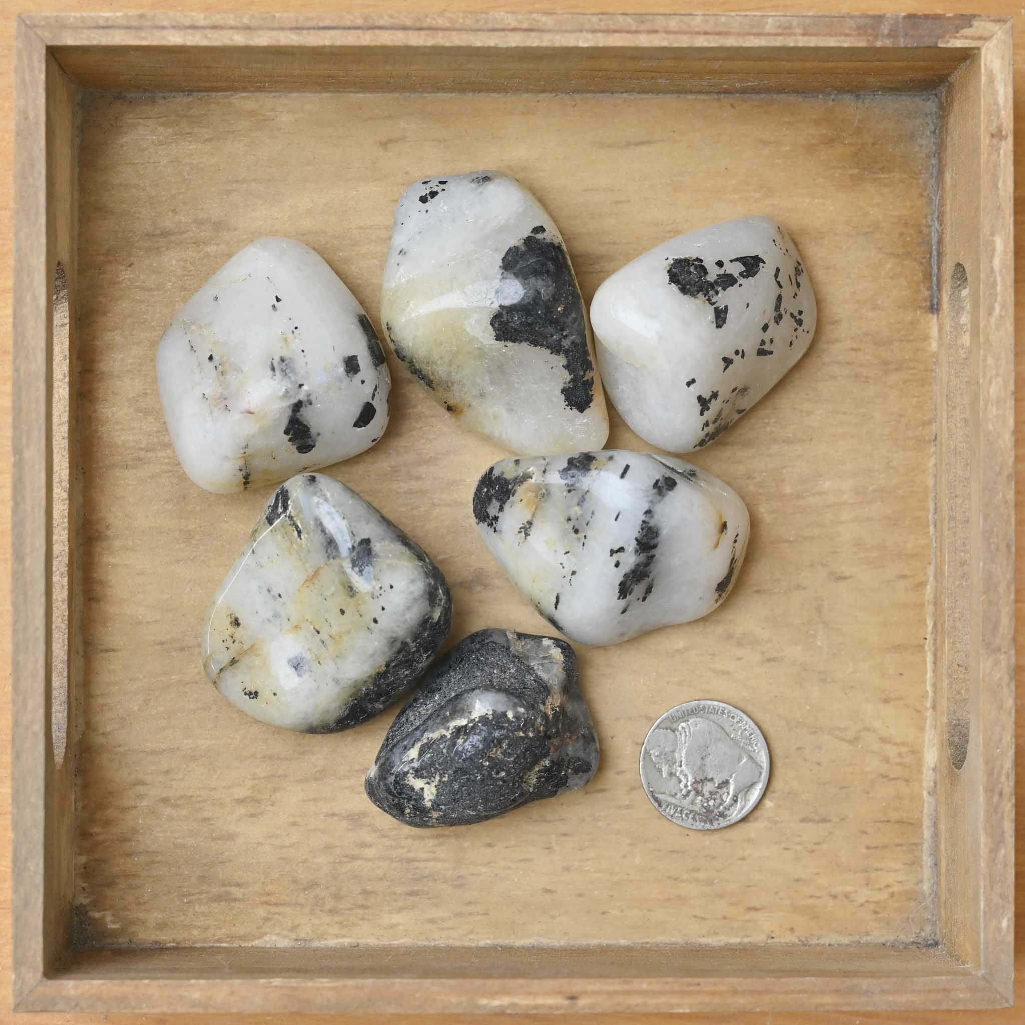 Tumbled Tourmalated Quartz