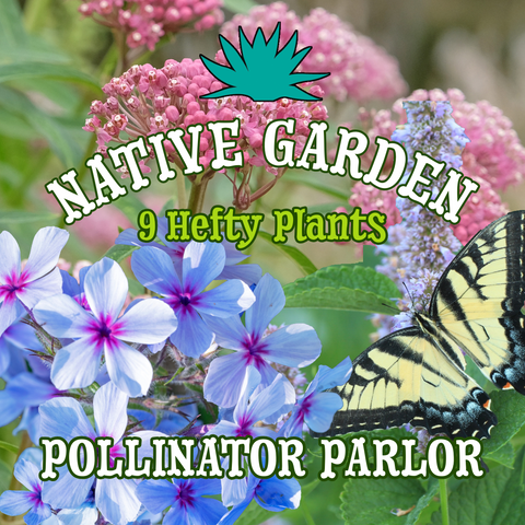 The Pollinator Parlor ~ Native Garden of 9 Hefty Plants for Preorder