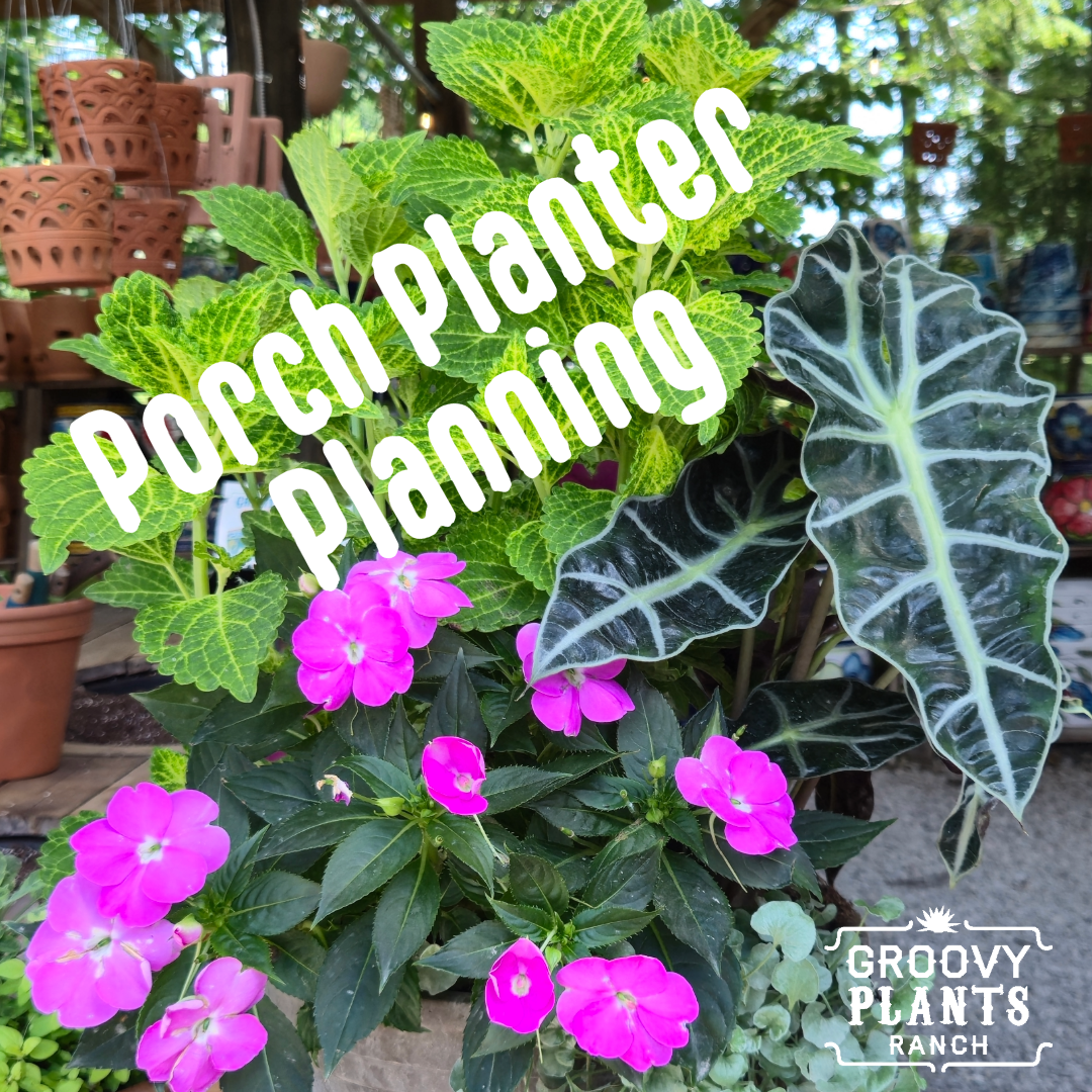 Mixed Container Planning Consultation : 30 Minute Reservation