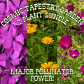 Cosmic Tapestry ~ Pre-Planned Native Garden of 7 Plants