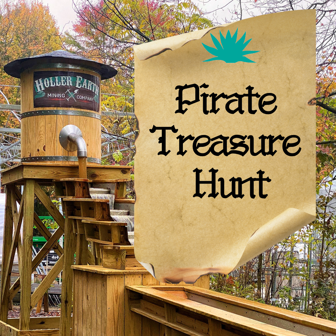 Pirate Treasure Hunt! | Monday, Jan 19th