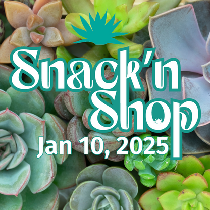 Snack'N Shop | Jan 10th 2025