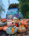 Fairy Pumpkin House Workshop