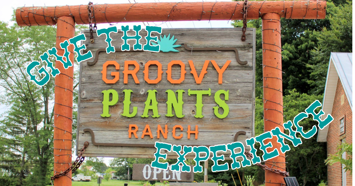 Groovy Plants Ranch Gift Cards The Groovy Plants Ranch LLC