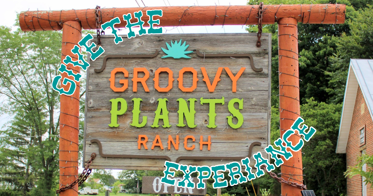 Groovy Plants Ranch - Gift Cards – The Groovy Plants Ranch LLC