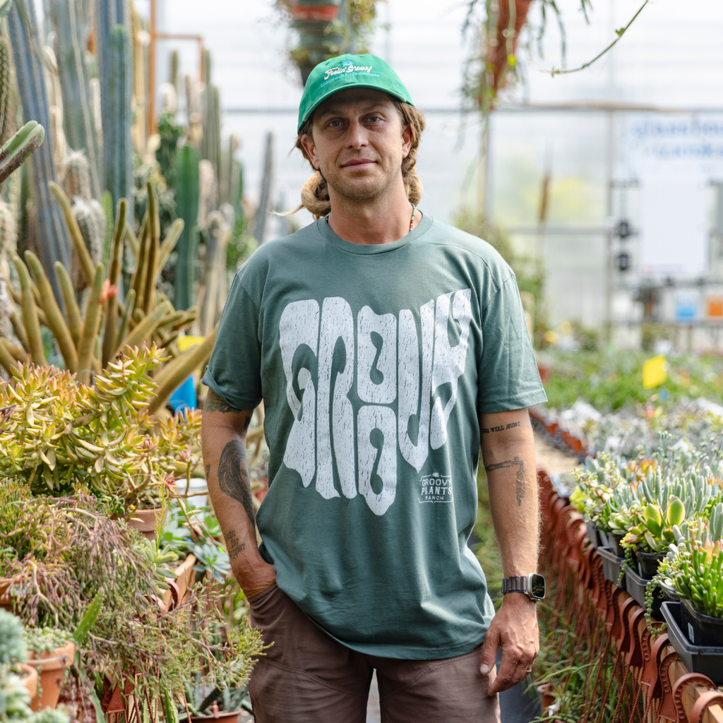 Groovy T-Shirt | Ohio