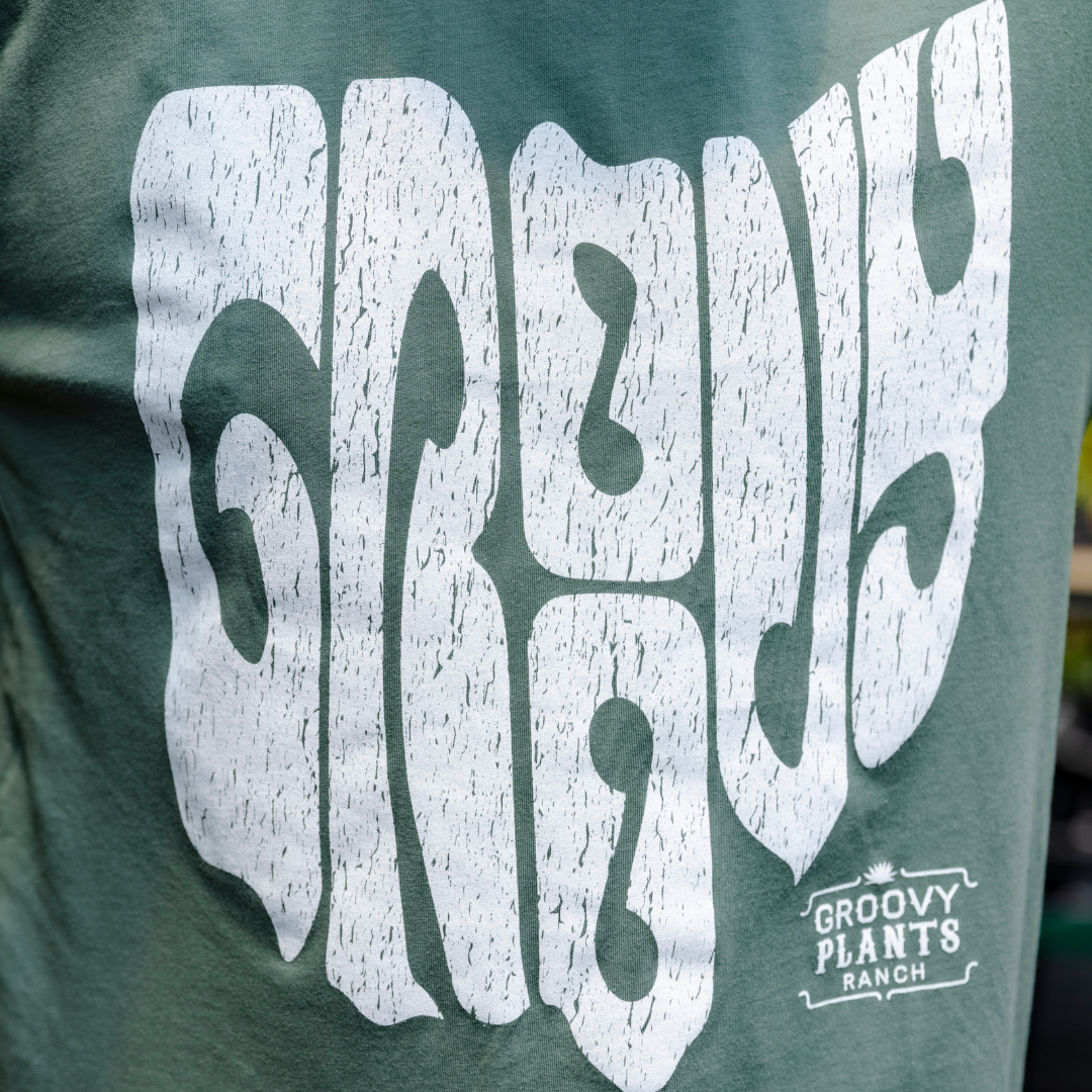 Groovy T-Shirt | Ohio