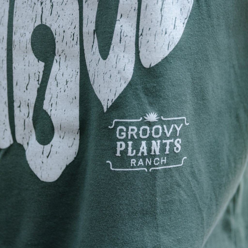 Groovy T-Shirt | Ohio