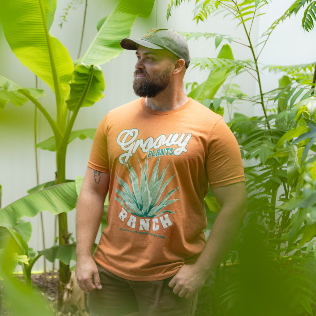 Groovy T-Shirt | Agave - Orange