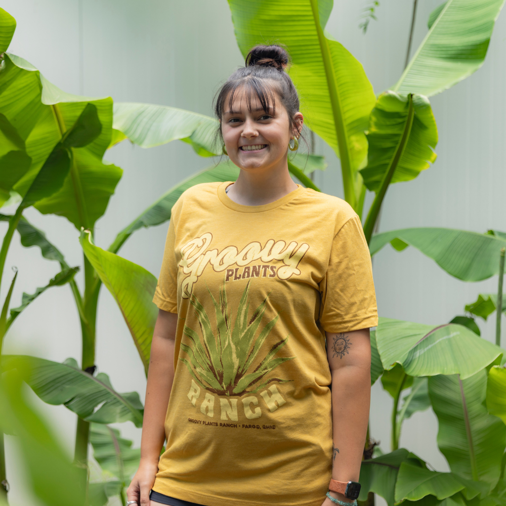Groovy T-Shirt | Agave - Mustard