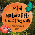 Mini Naturalist: Flower & Bug Walk
