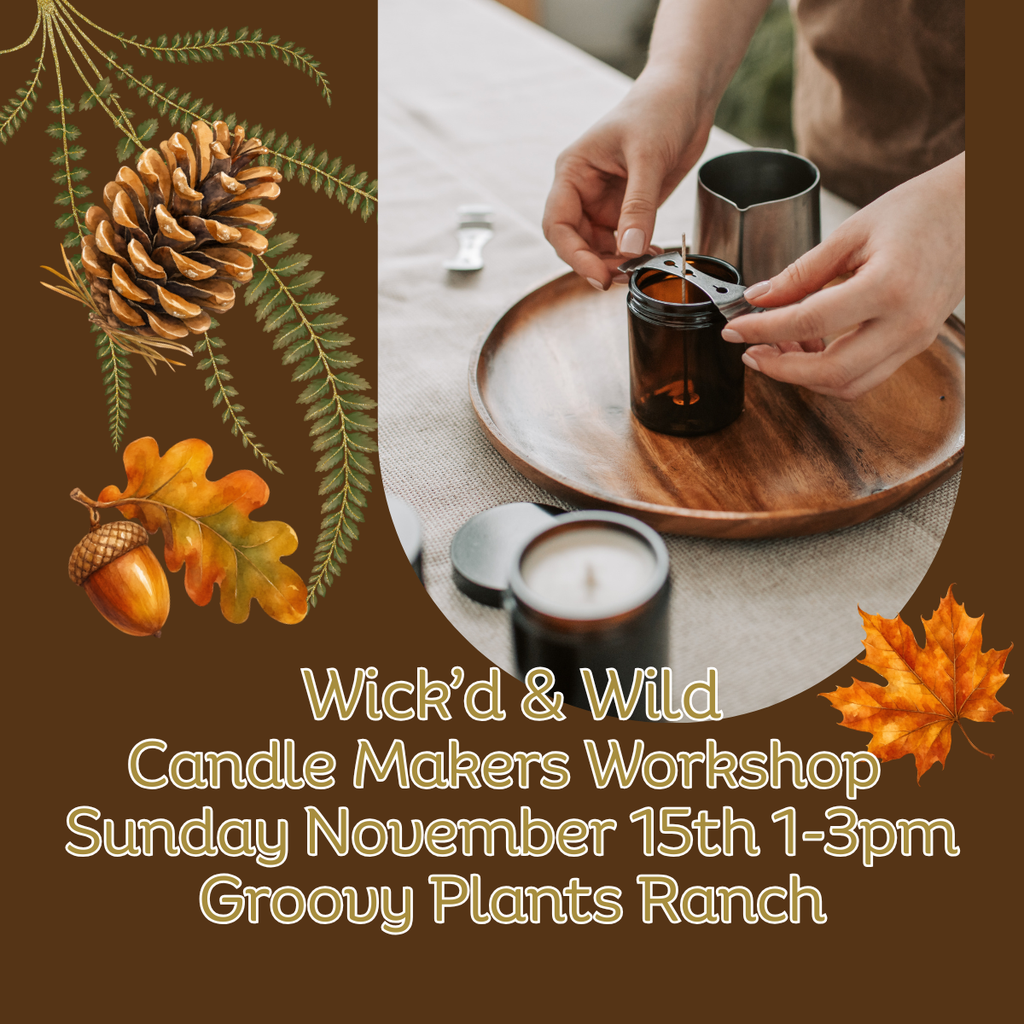 Wick’d & Wild: Candle Makers Workshop