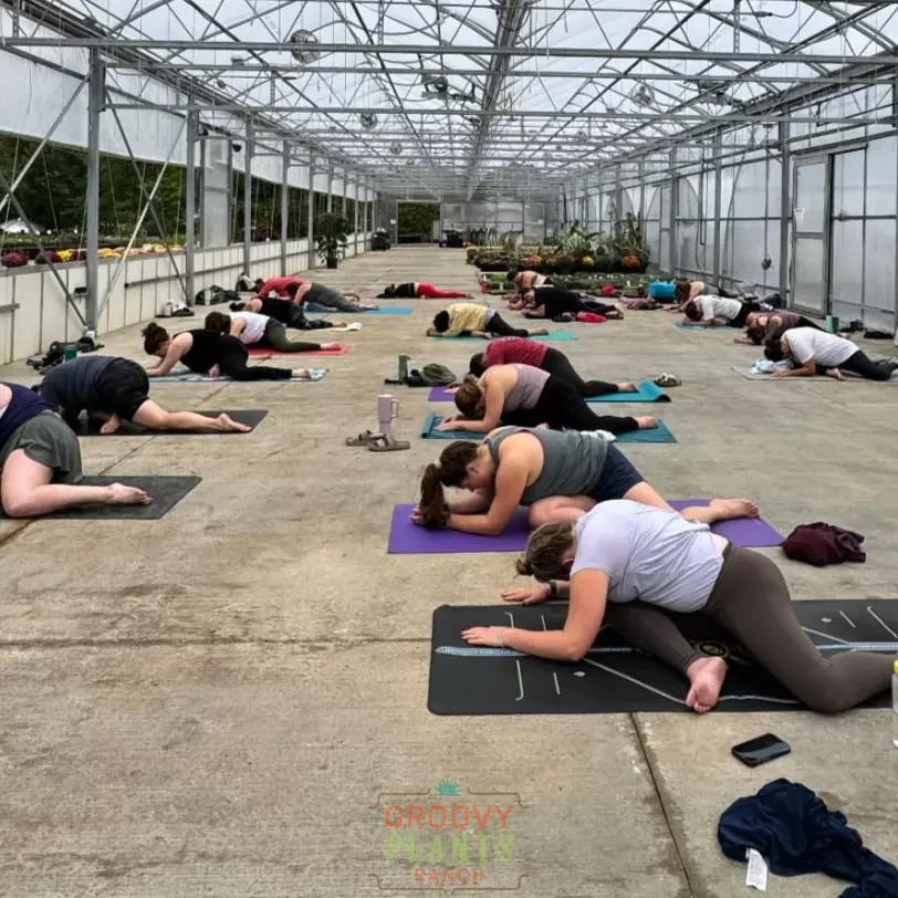 Yoga at the Ranch | Summer Solstice June 21th 2026