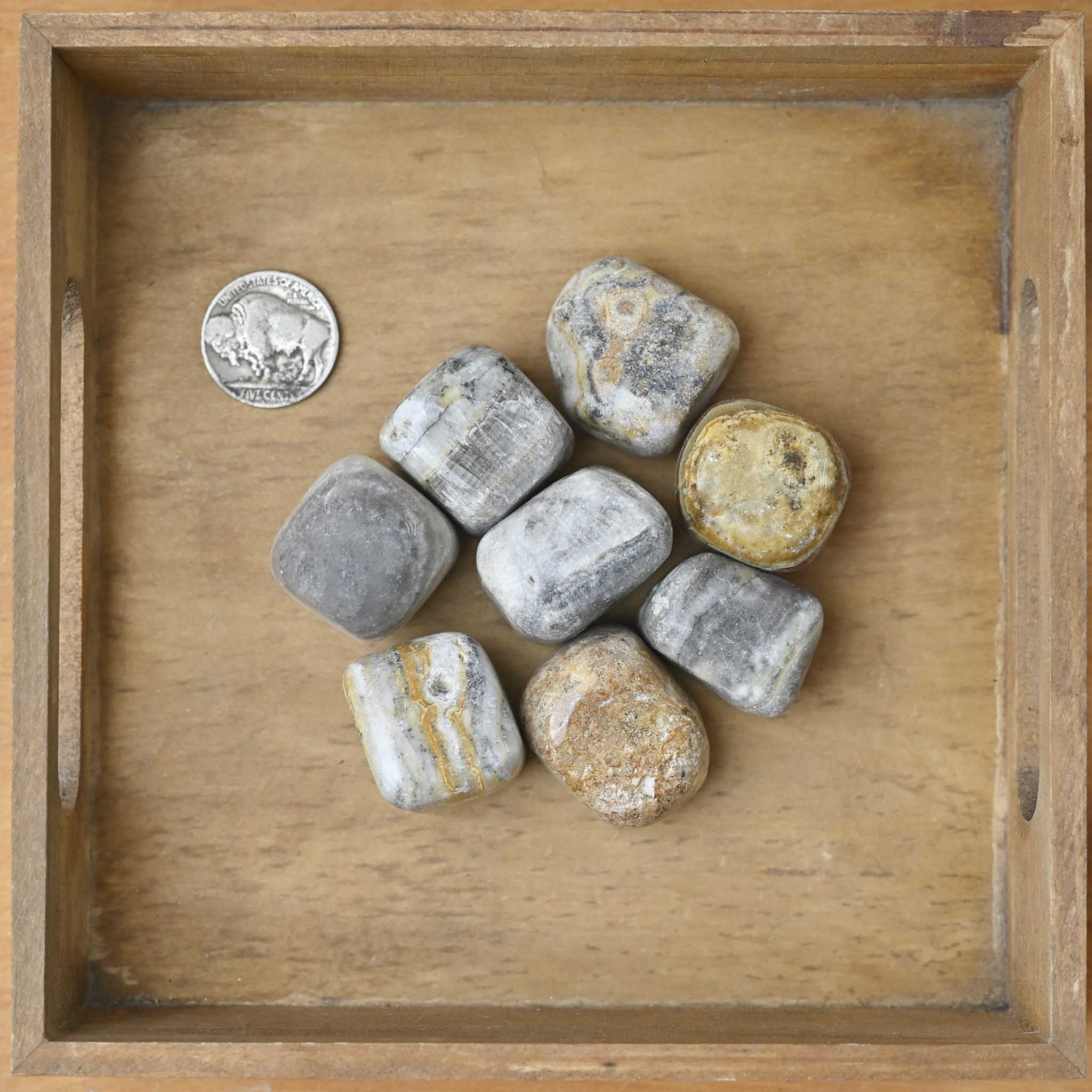 Tumbled Zebra Calcite (1 Stone)