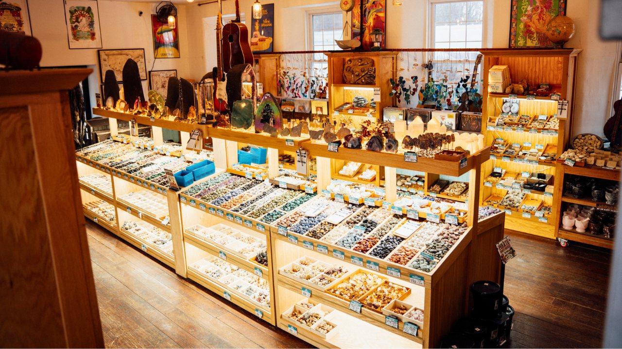 'Monarch Magic' Ageratum