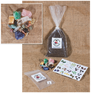 Pirate Treasure Hunt! | Sunday, Dec 7th