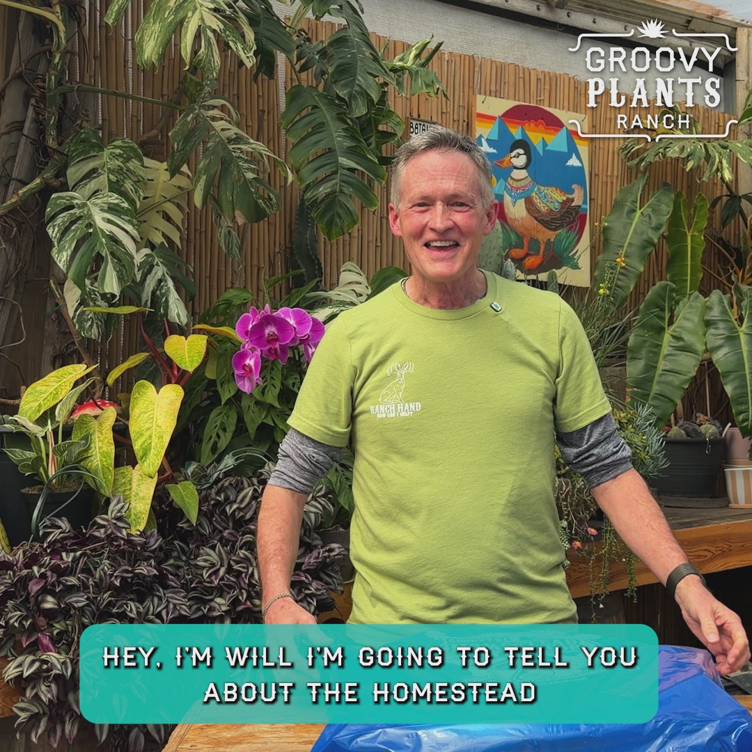 Groovy's Homestead Hydrator - Super Easy Irrigation Kit