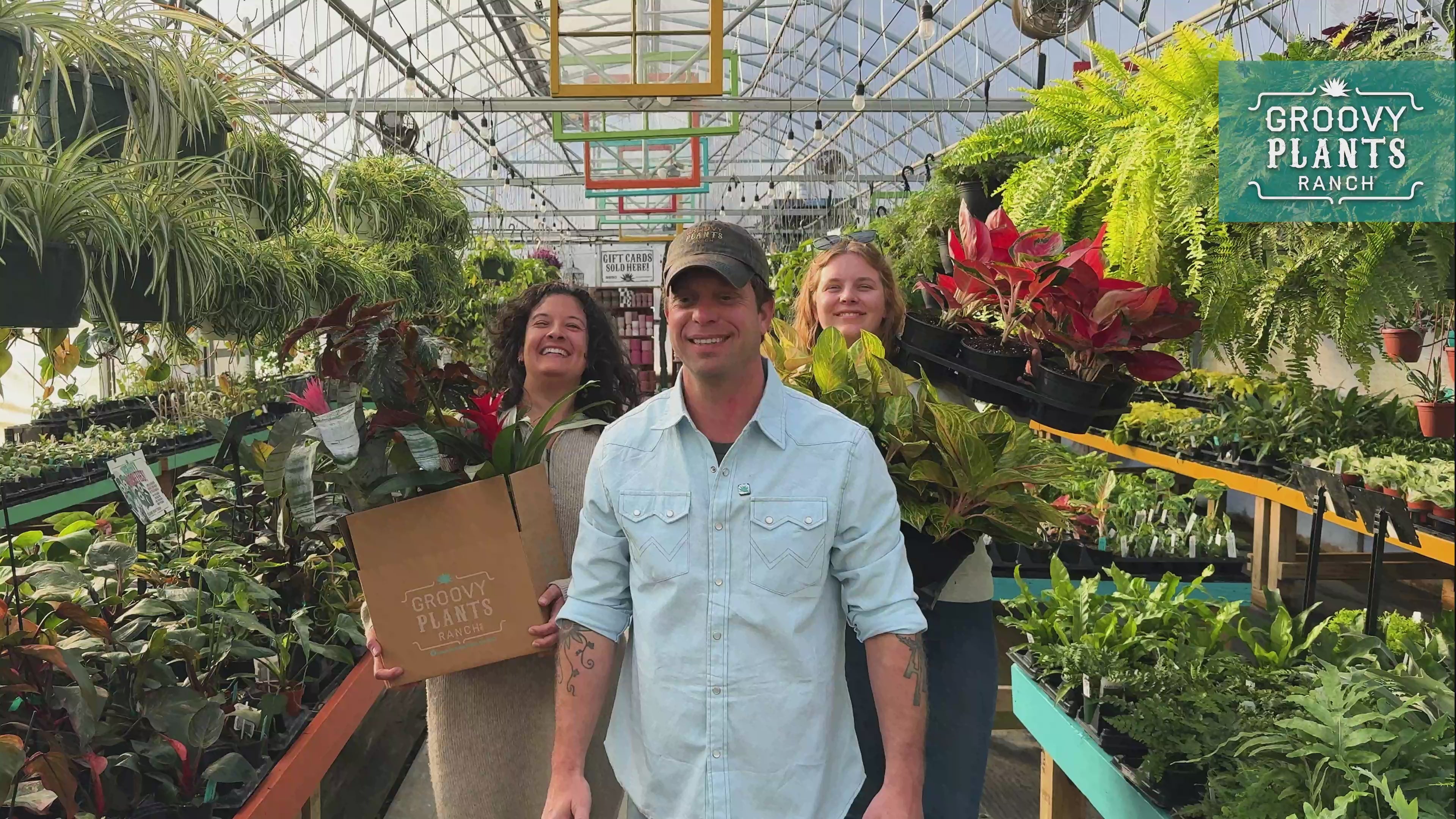 We Ship – The Groovy Plants Ranch LLC