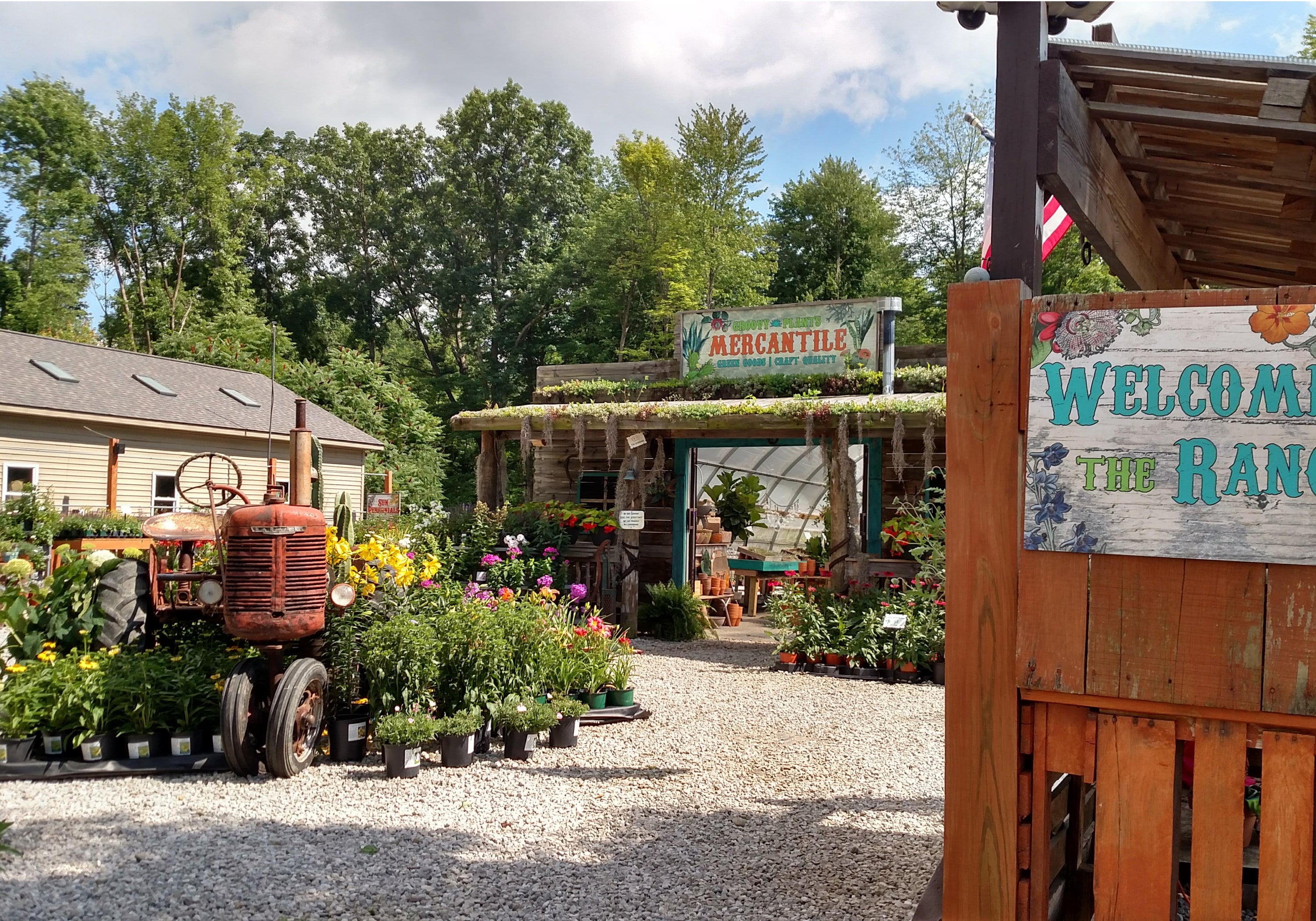 Groovy Plants Ranch – The Groovy Plants Ranch LLC