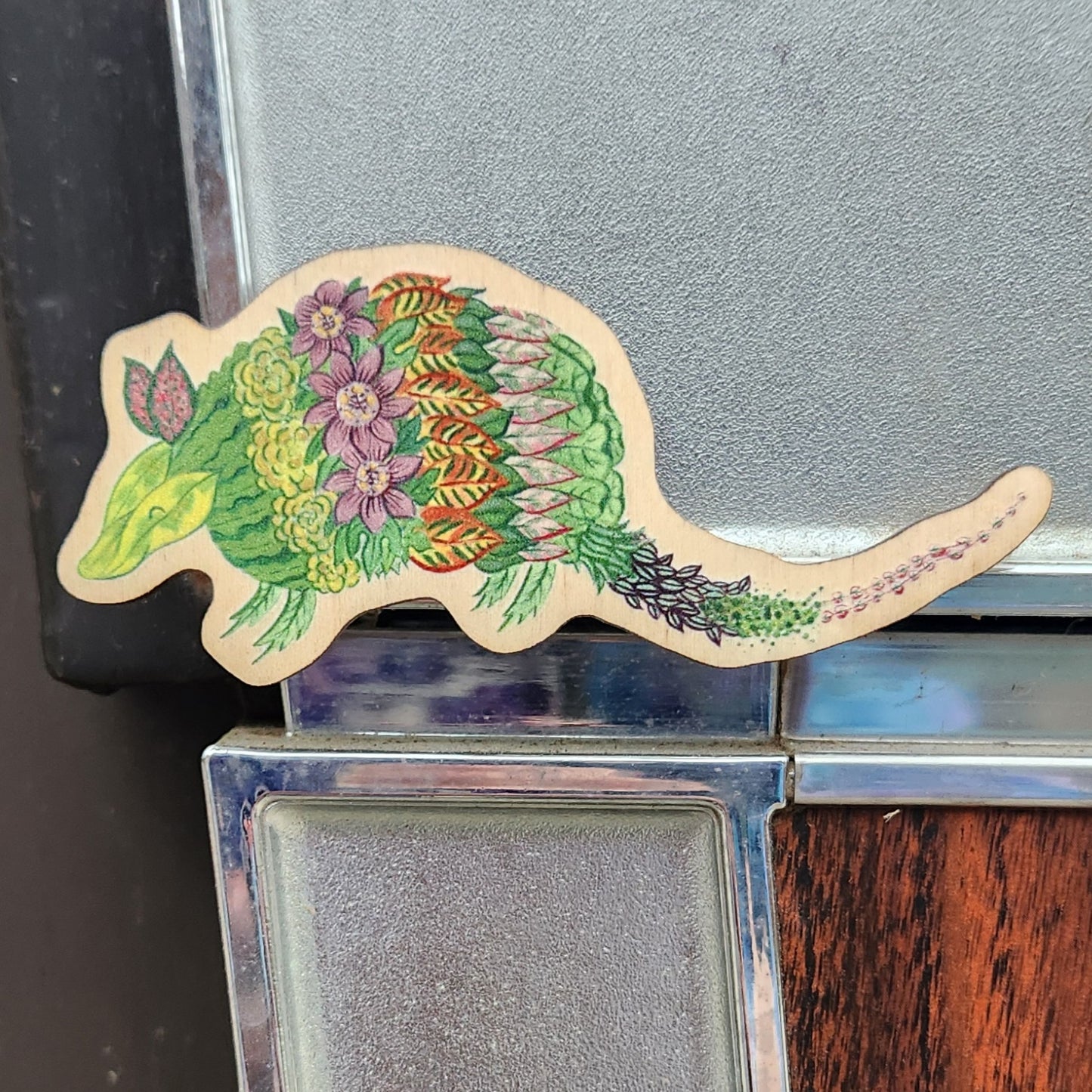 Groovy Plants Ranch Armadillo Magnet