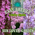 Easy Breezy Sun Lover Garden ~ 9 Hefty Plants for Preorder