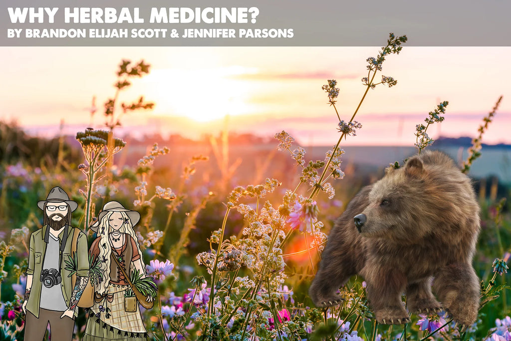 Garden-to-Apothecary: The Basics of Herbalism