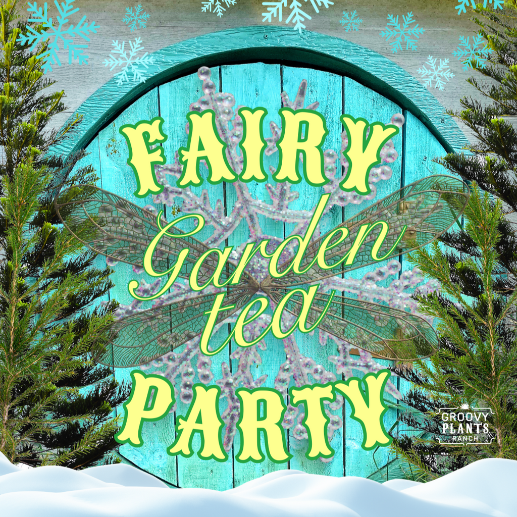 Holiday Fairy Garden Tea Party! | Sat Dec 9th 1PM