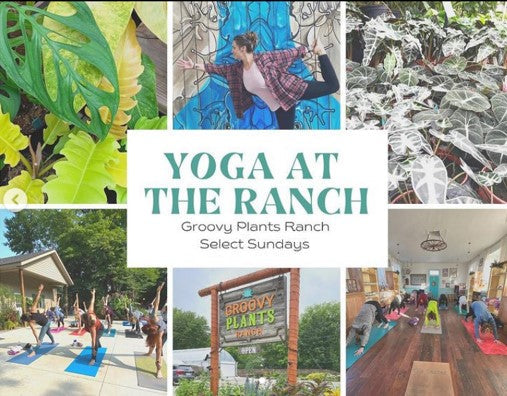 Yoga at the Ranch | April 14th 9:00am
