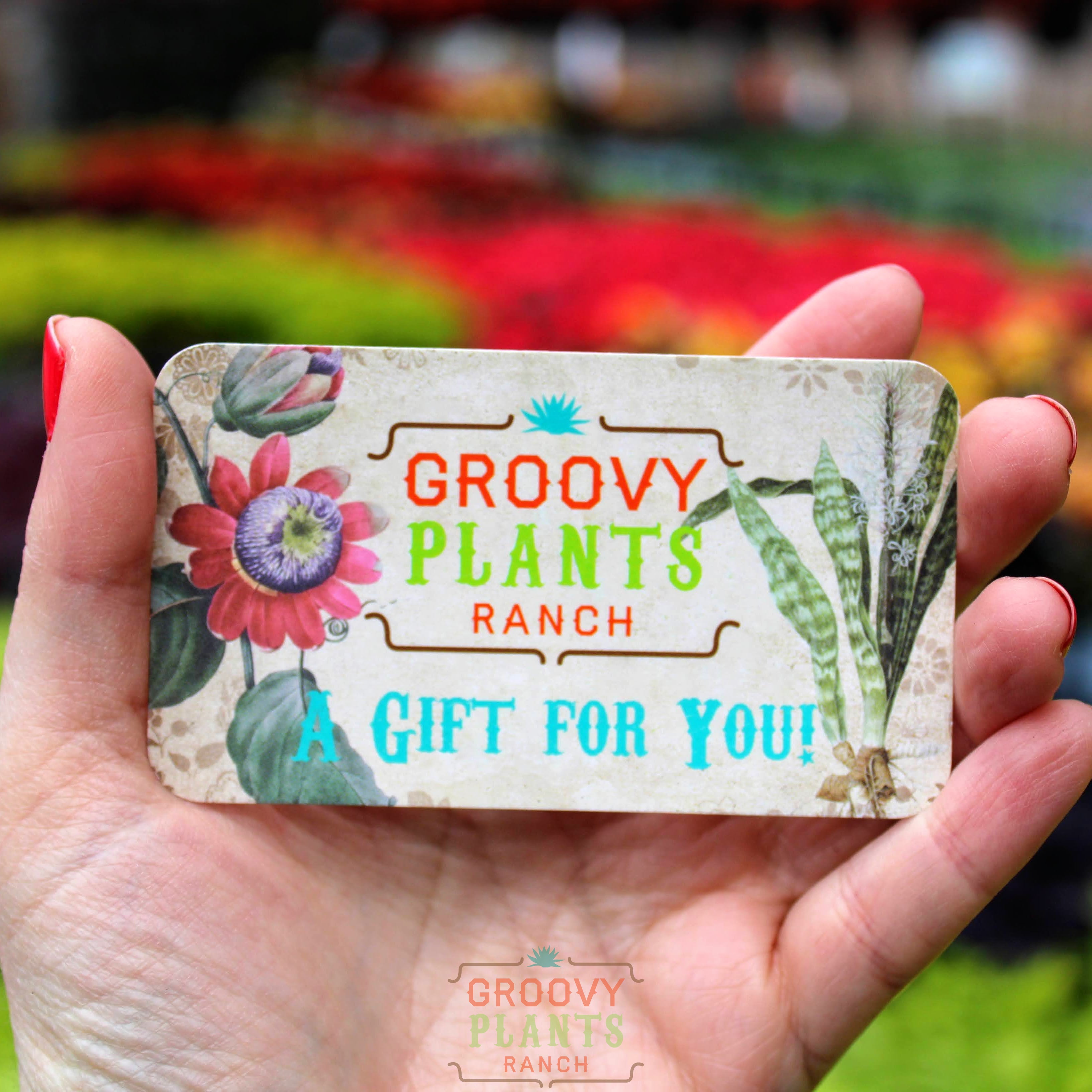 Digital Gift Card | Gift Certificate