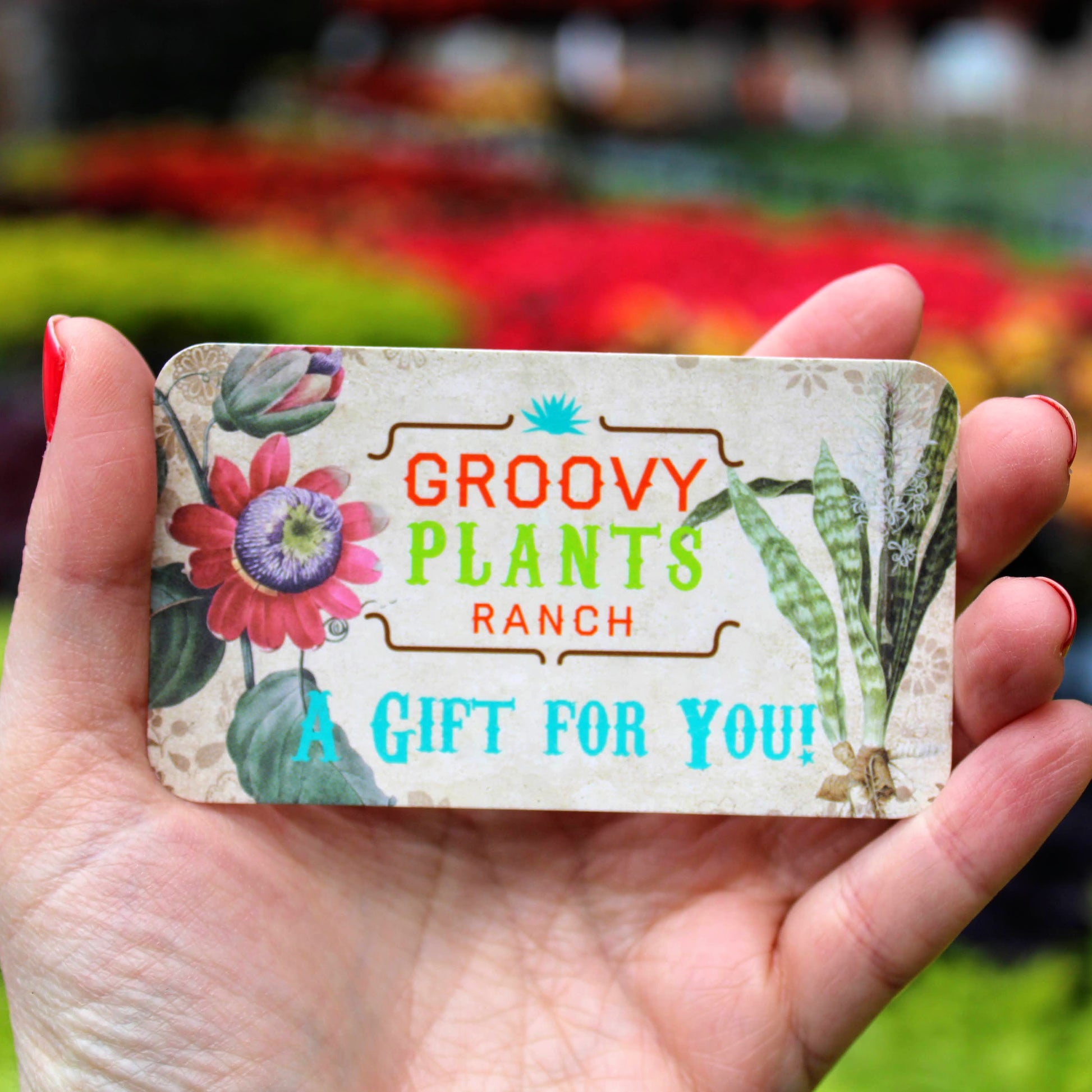 Physical Gift Card | Gift Certificate