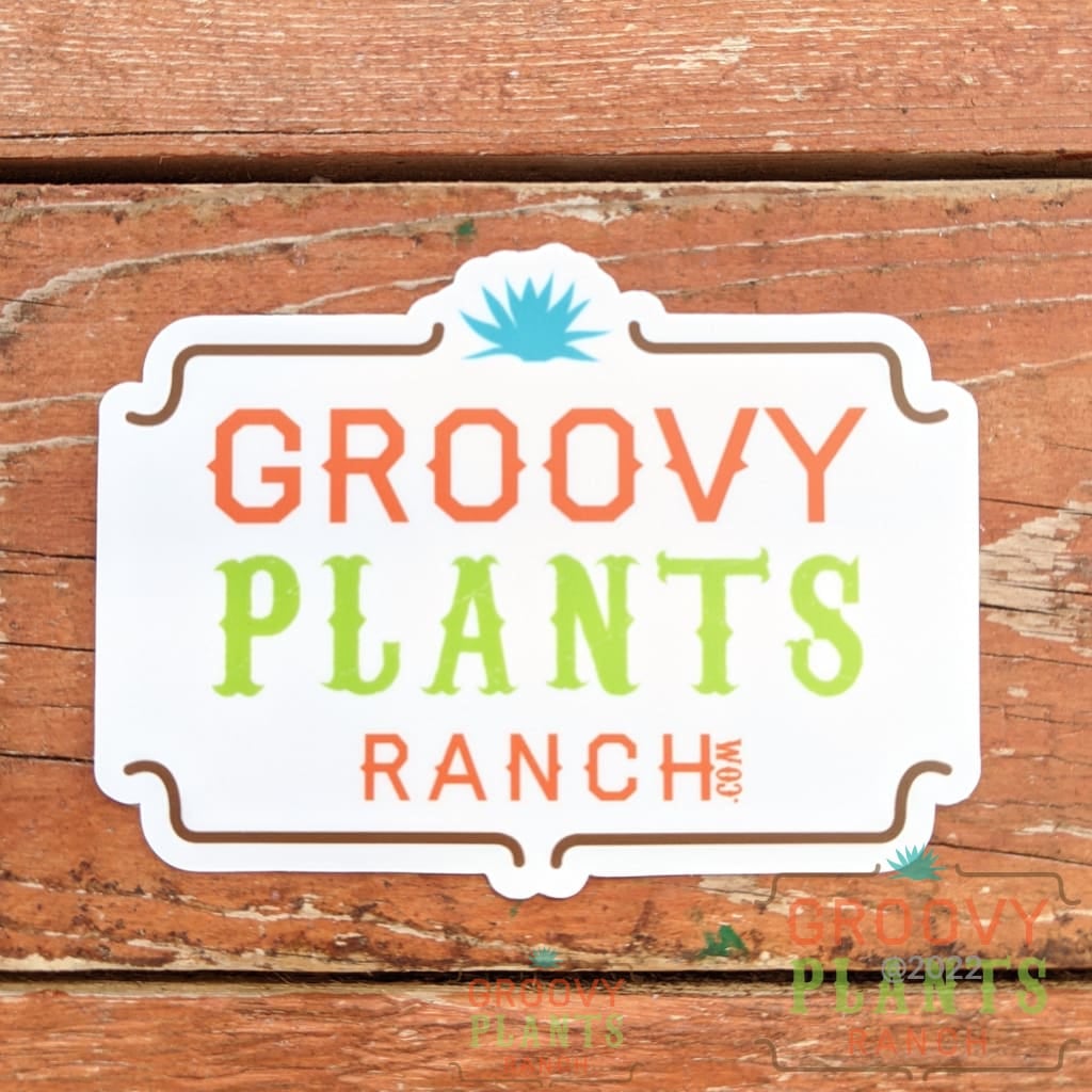 Bumper Sticker | Groovy Plants Ranch LLC – The Groovy Plants Ranch LLC
