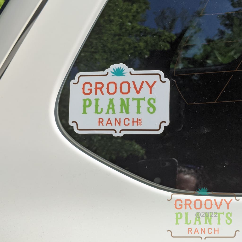 Bumper Sticker