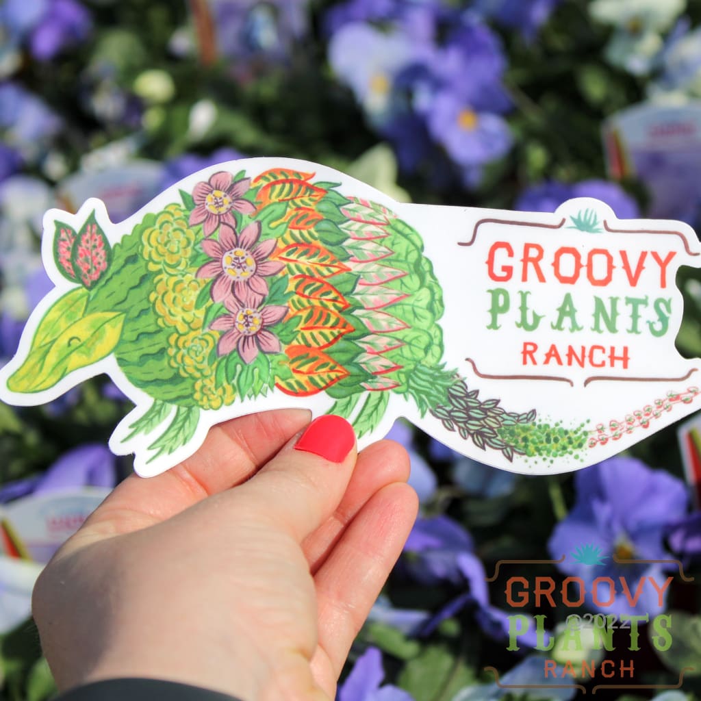 Groovy Plants Ranch Armadillo Sticker