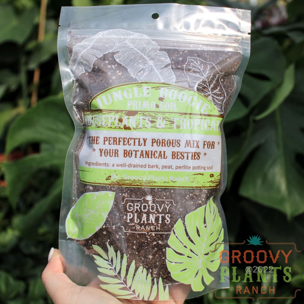Jungle Boogie | Houseplant & Tropical Soil