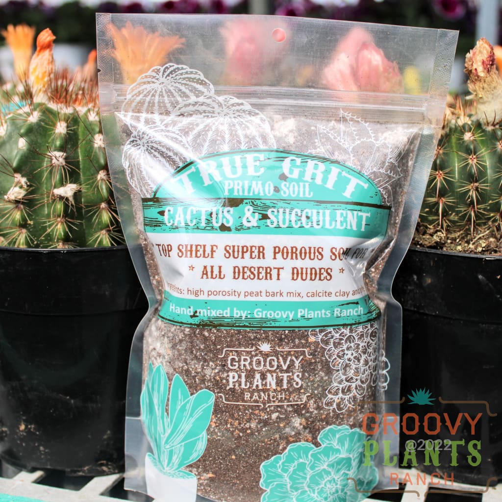 Groovy Plants Ranch True Grit | Succulent & Cactus Soil